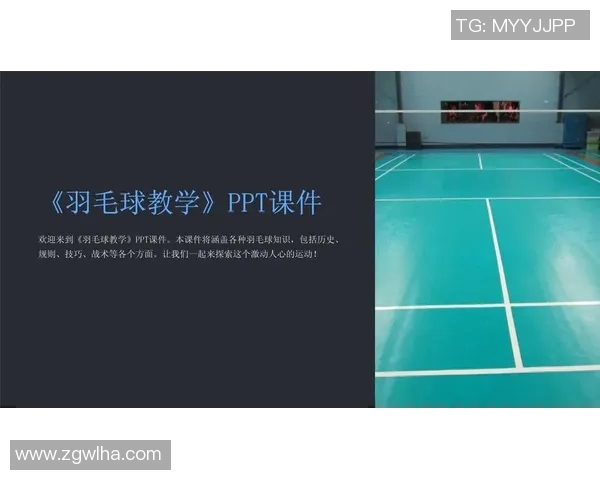 成都羽毛球队总决赛战术分析与表现评估之深度解读